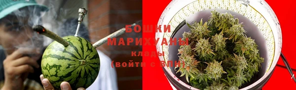 стафф Ладушкин
