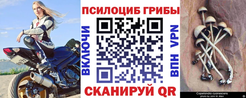 Галлюциногенные грибы ЛСД  darknet Telegram  Юхнов 